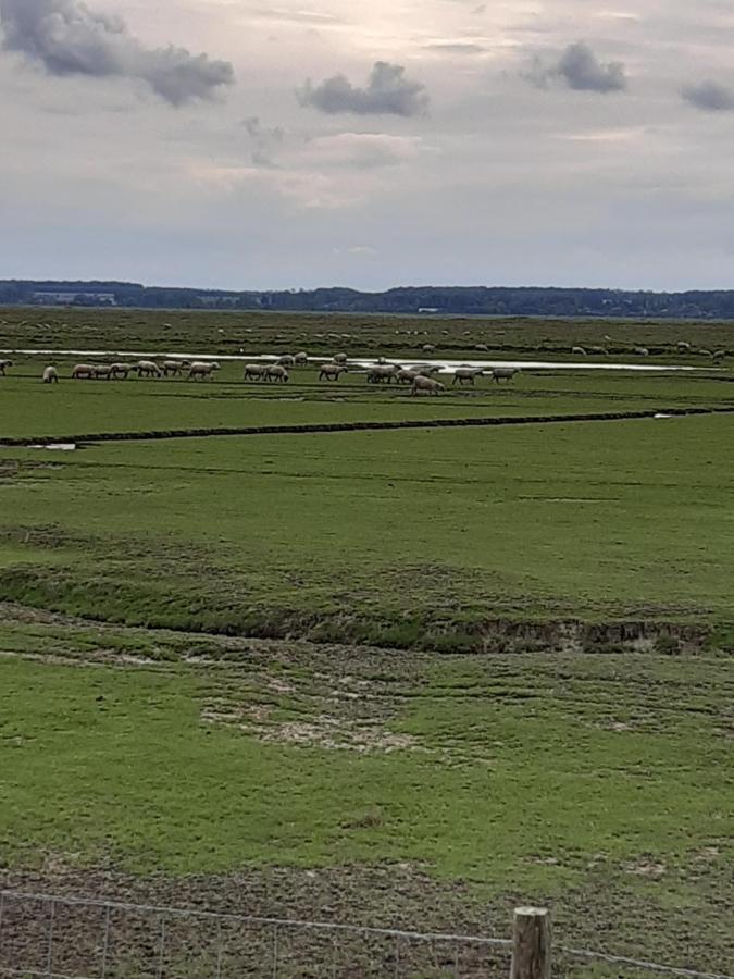 Apartamento L Îlot de la Baie, super studio 4p face à la mer, parking gratuit, wifi, classé 2 étoiles à Fort Mahon Plage, Baie de Somme Exterior foto